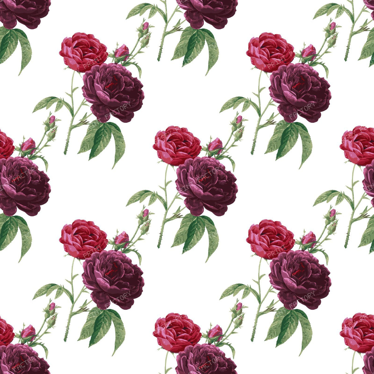 Pink Roses, Purple Roses, Floral Pattern, Rosebud, Leaves