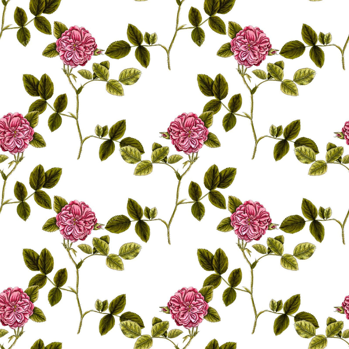 Pink Roses, Pink Flowers, Floral Pattern, Rosebud, Leaves