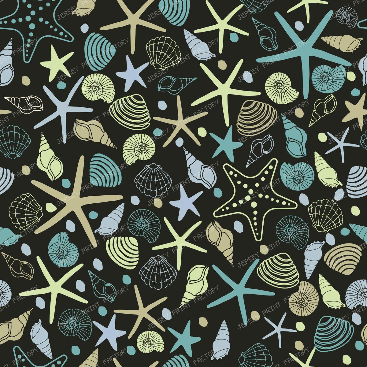 Colorful Seashells, Scallops, Conch Shells, Clam Shells, Starfish — Colorful 5