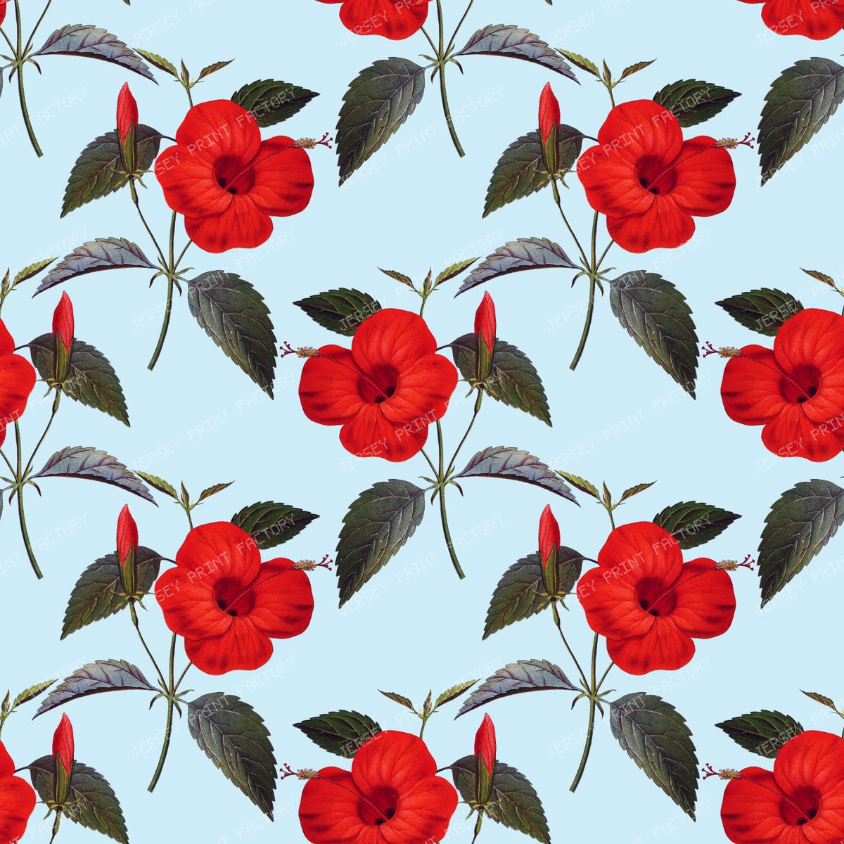 Red Hibiscus, Red Flowers, Floral Pattern, Greenery — Blue