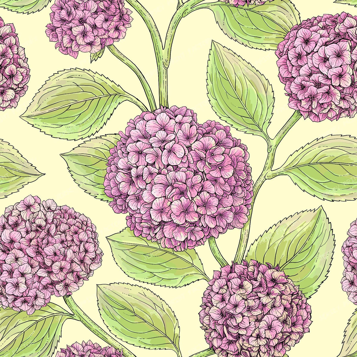 Hydrangea — in pink and light green