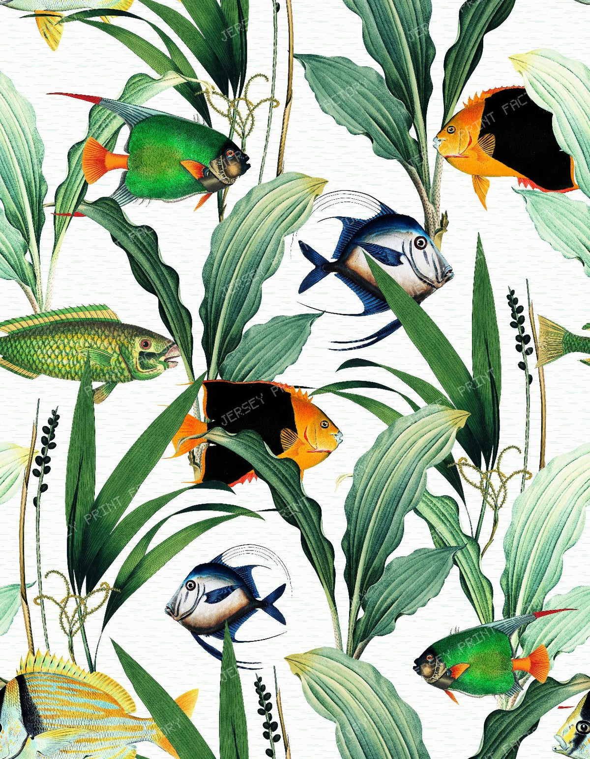 Vintage Tropical Fish Swimming Through Lush Aquatic Plants and Seaweed - Light Turquoise — White