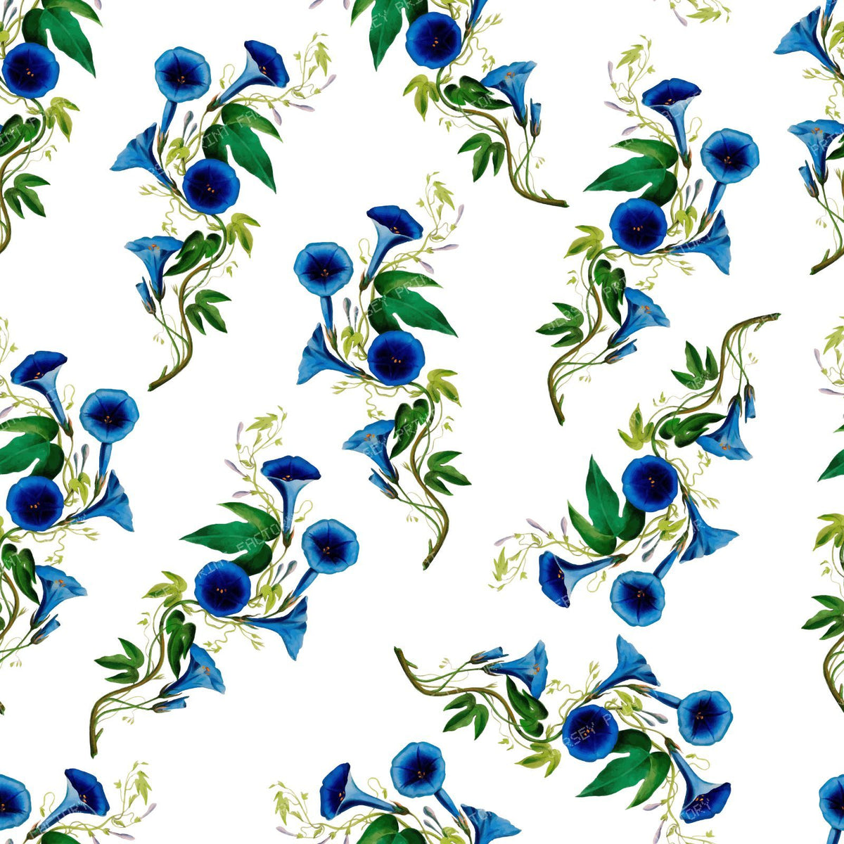 Blue Flowers, Bindweed, Pattern Of Flowers, Greenery