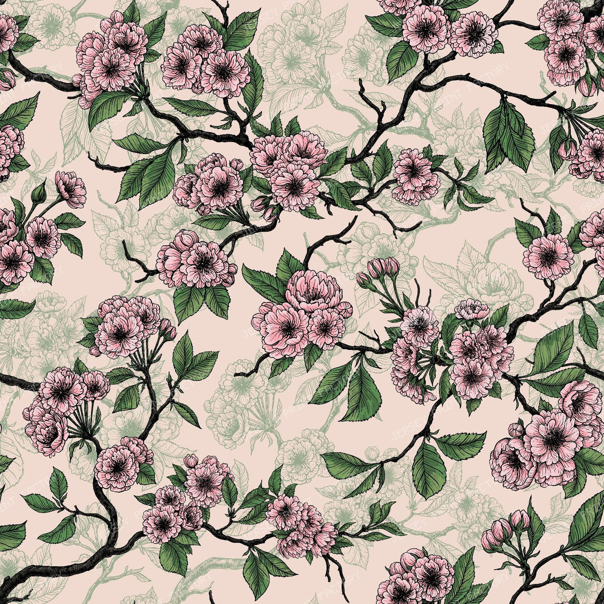 Cherry blossom — on pink