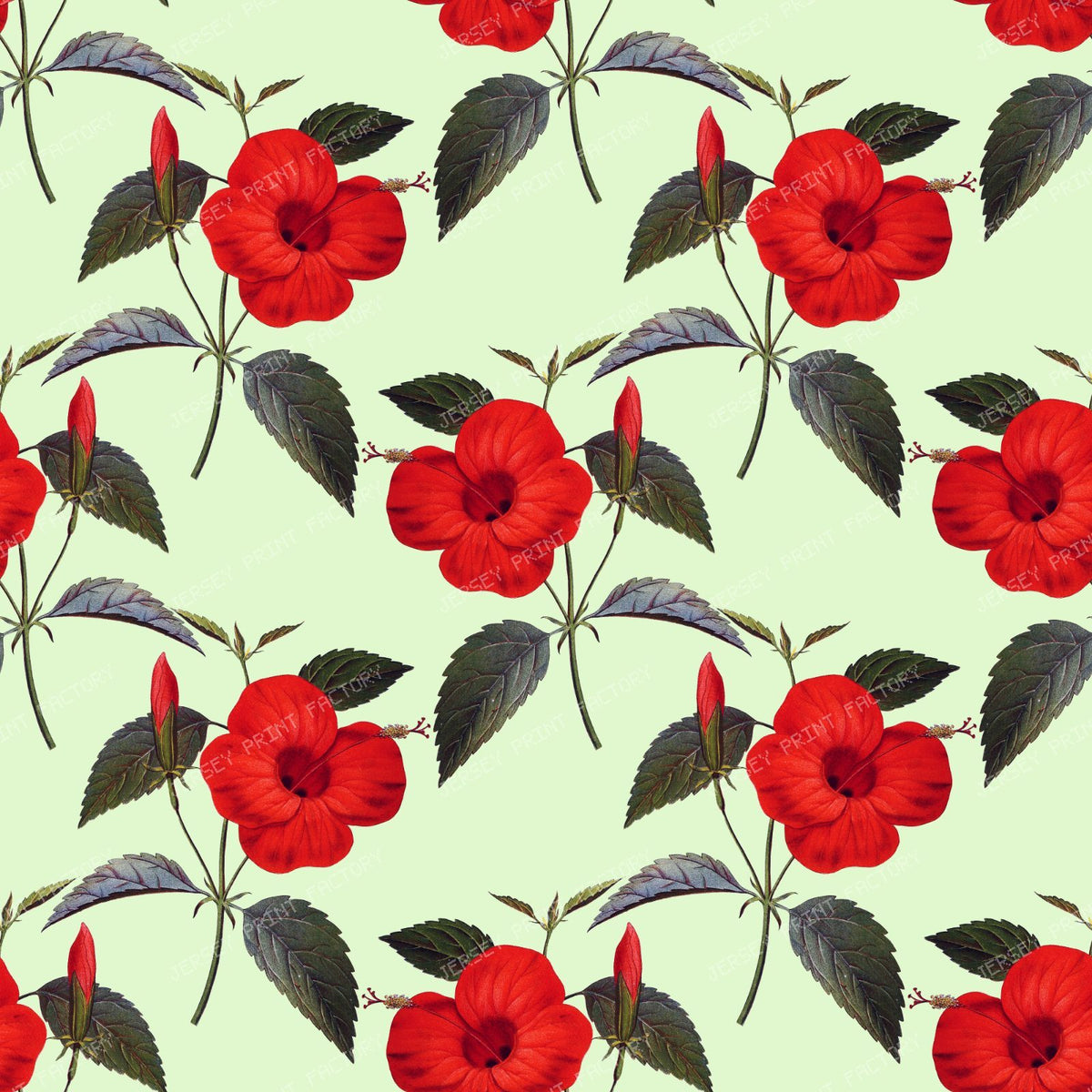 Red Hibiscus, Red Flowers, Floral Pattern, Greenery — Green