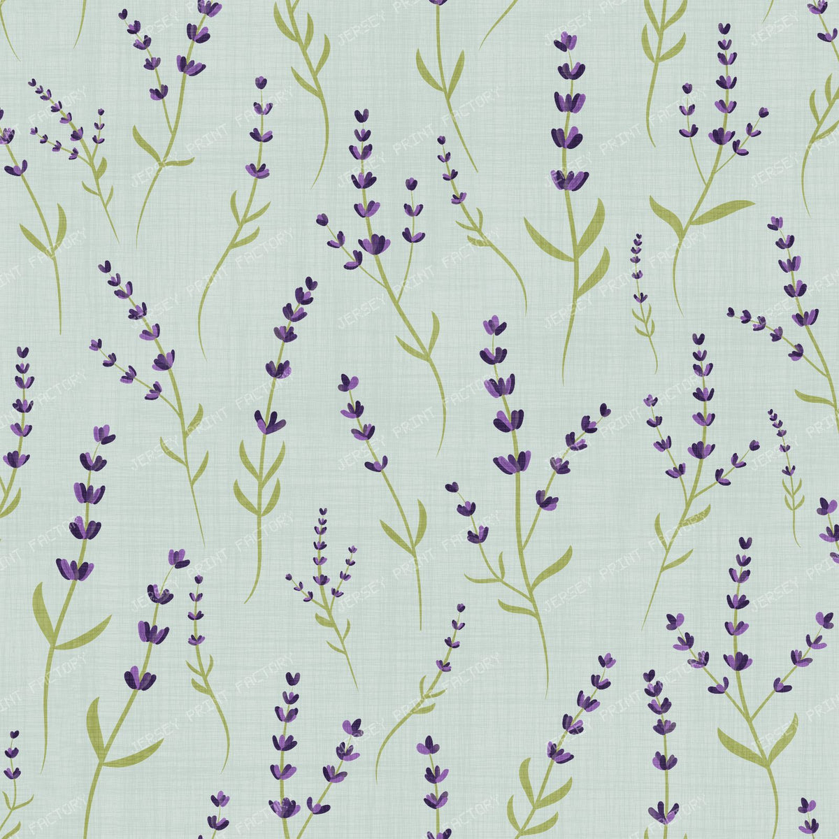 Wild Lavender Meadow Delicate Botanical Floral
