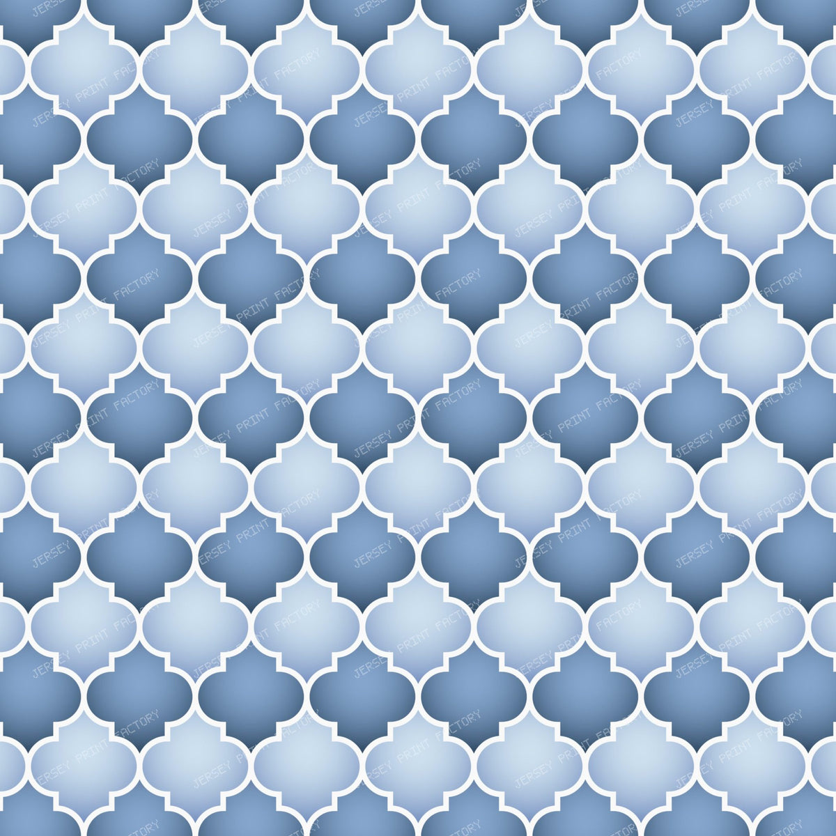 Moroccan Trellis Geometric Pattern White Blue