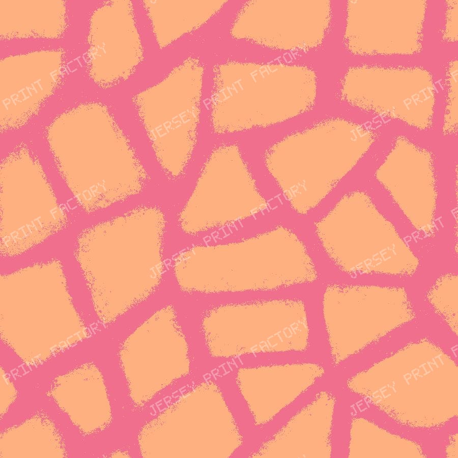 Abstract Animal Print in Organic Modern — Coral Peach