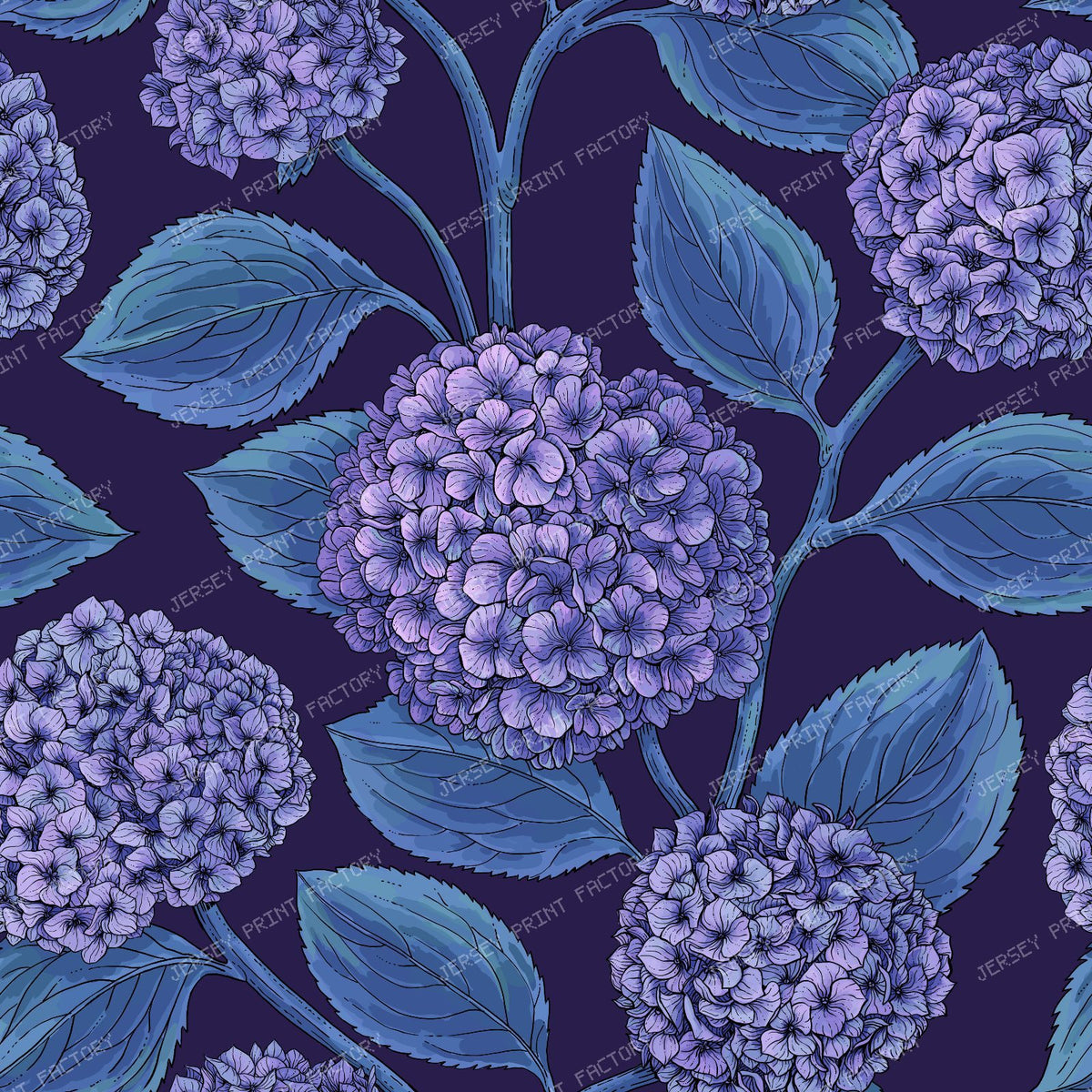 Hydrangea — in violet and blue