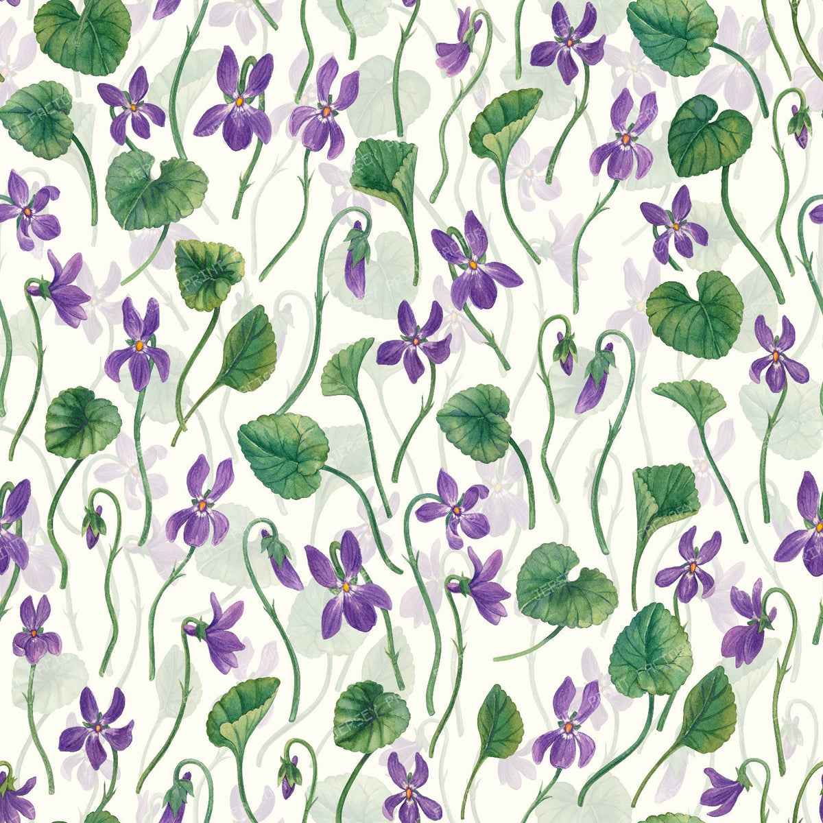 Watercolor violets on honey dew — on white