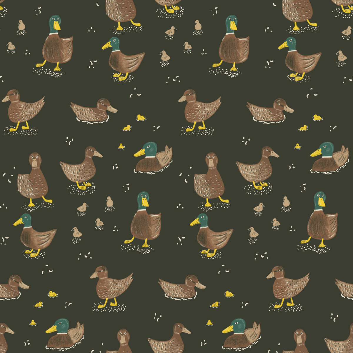 All My Ducks Dark