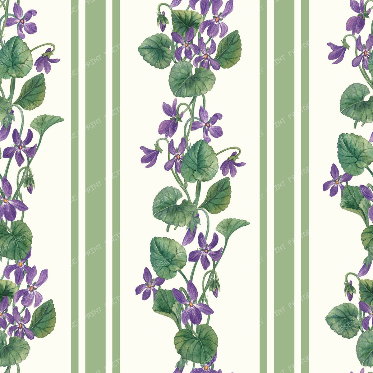 Stripes and violets in green and violet