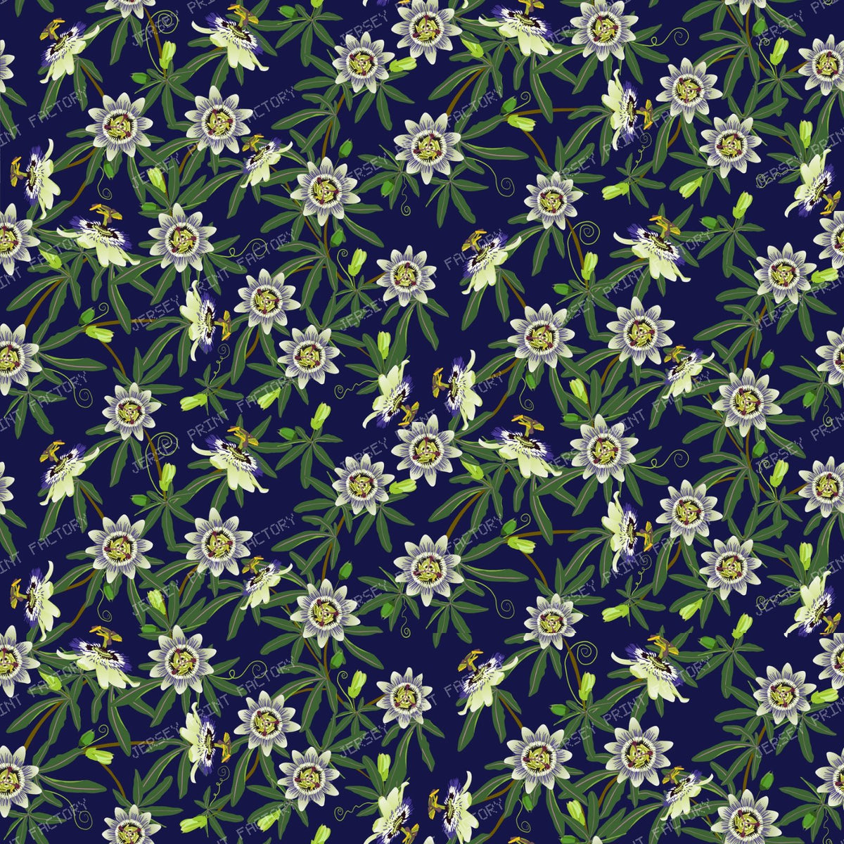 Passion Flower on Navy