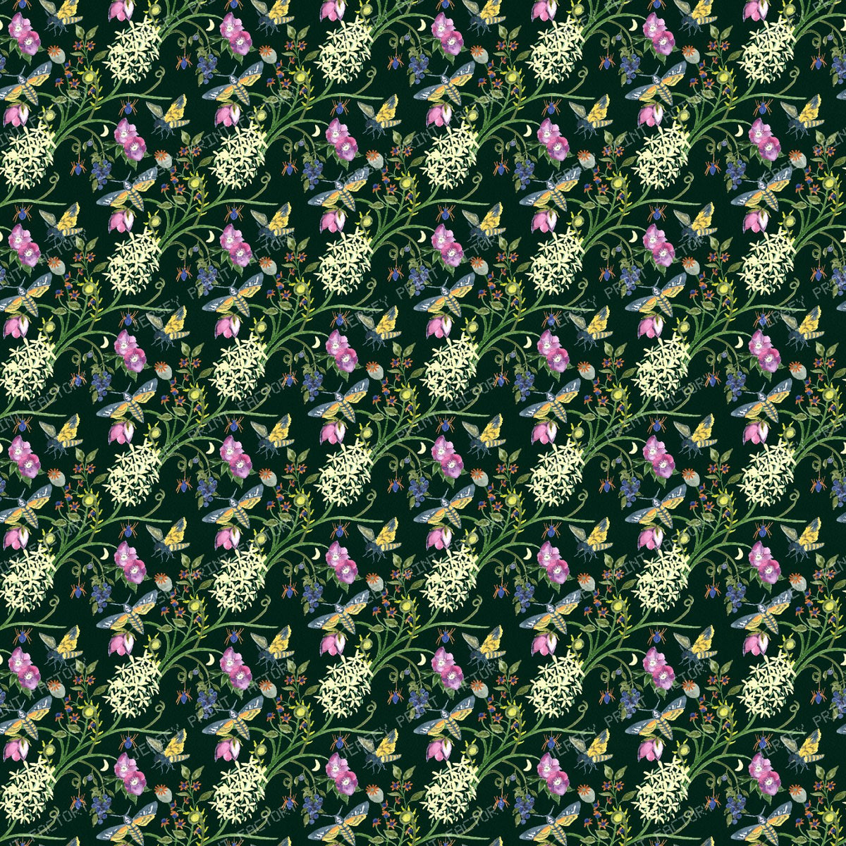 Midnight Entomologist - Deep Forest Green