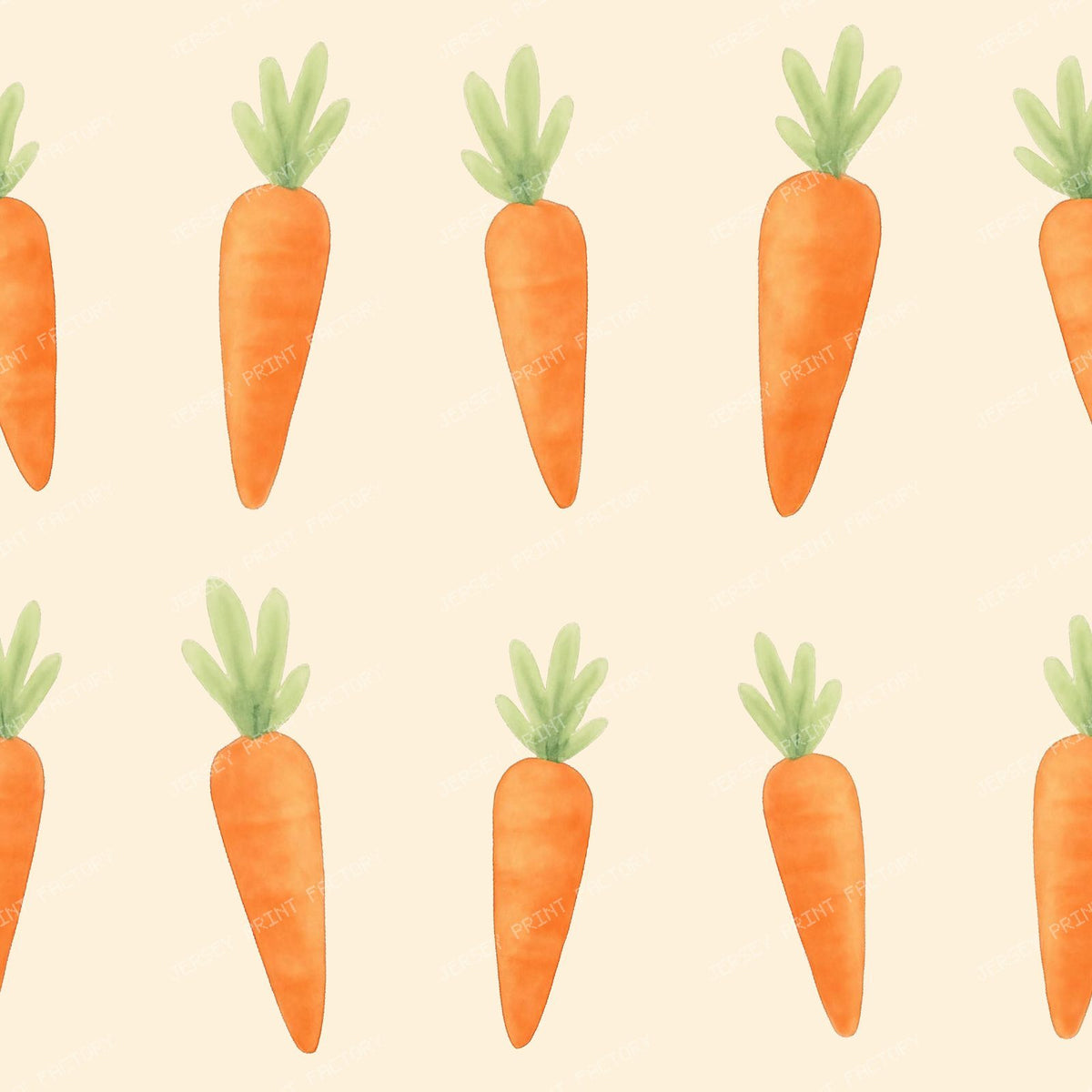 Watercolor sweets carrots