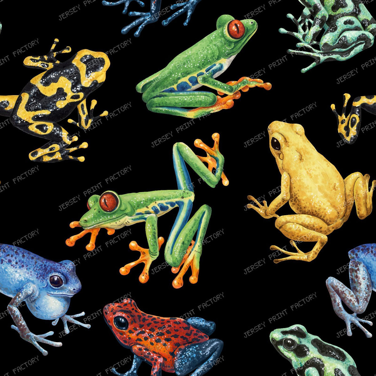 Frogs
