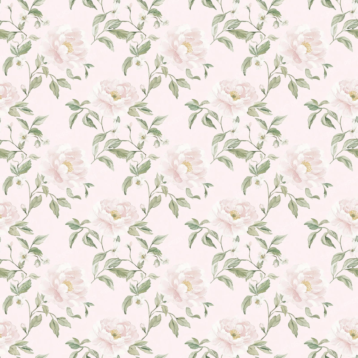 Pink Roses, Pink Flowers, Floral Pattern, Greenery