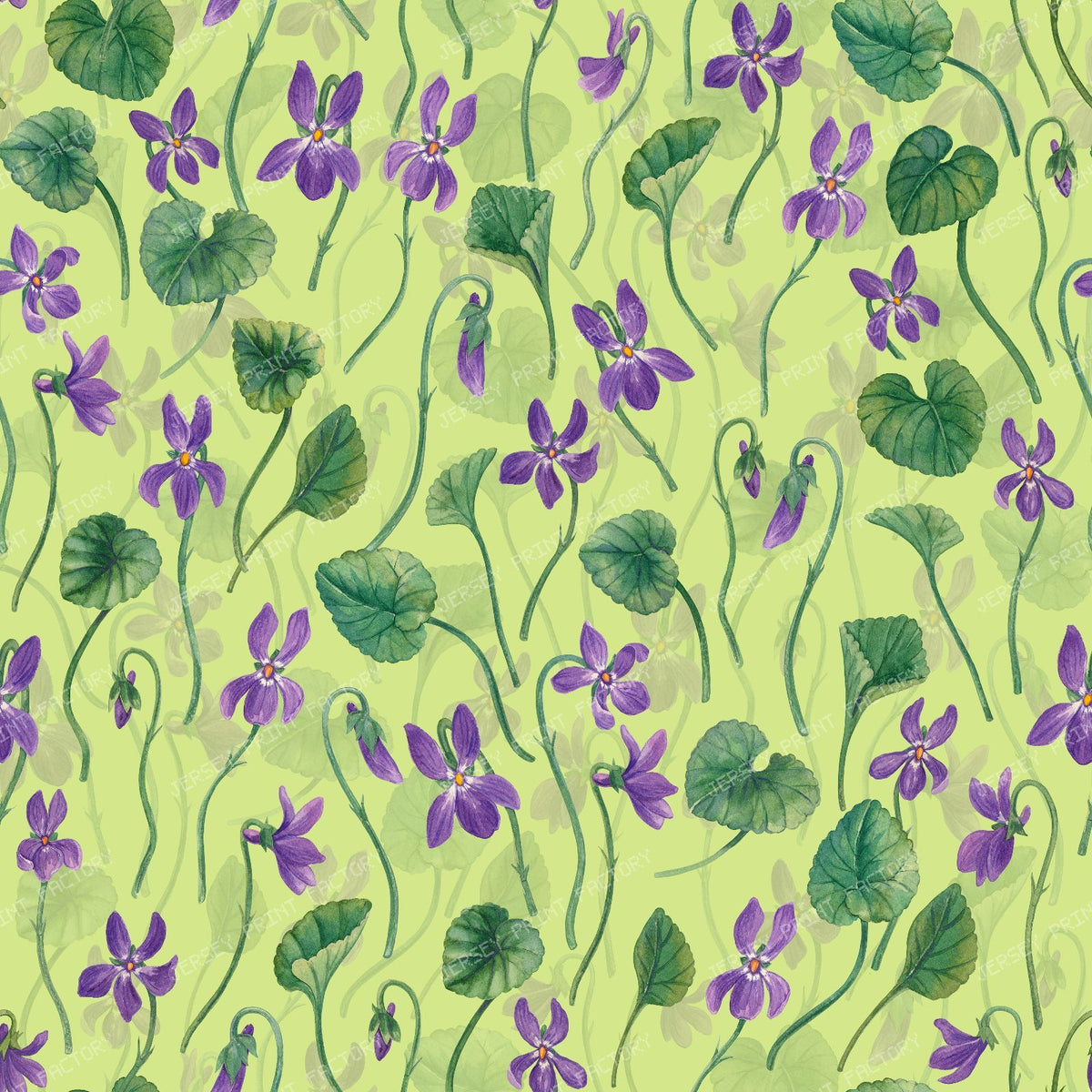 Watercolor violets on honey dew