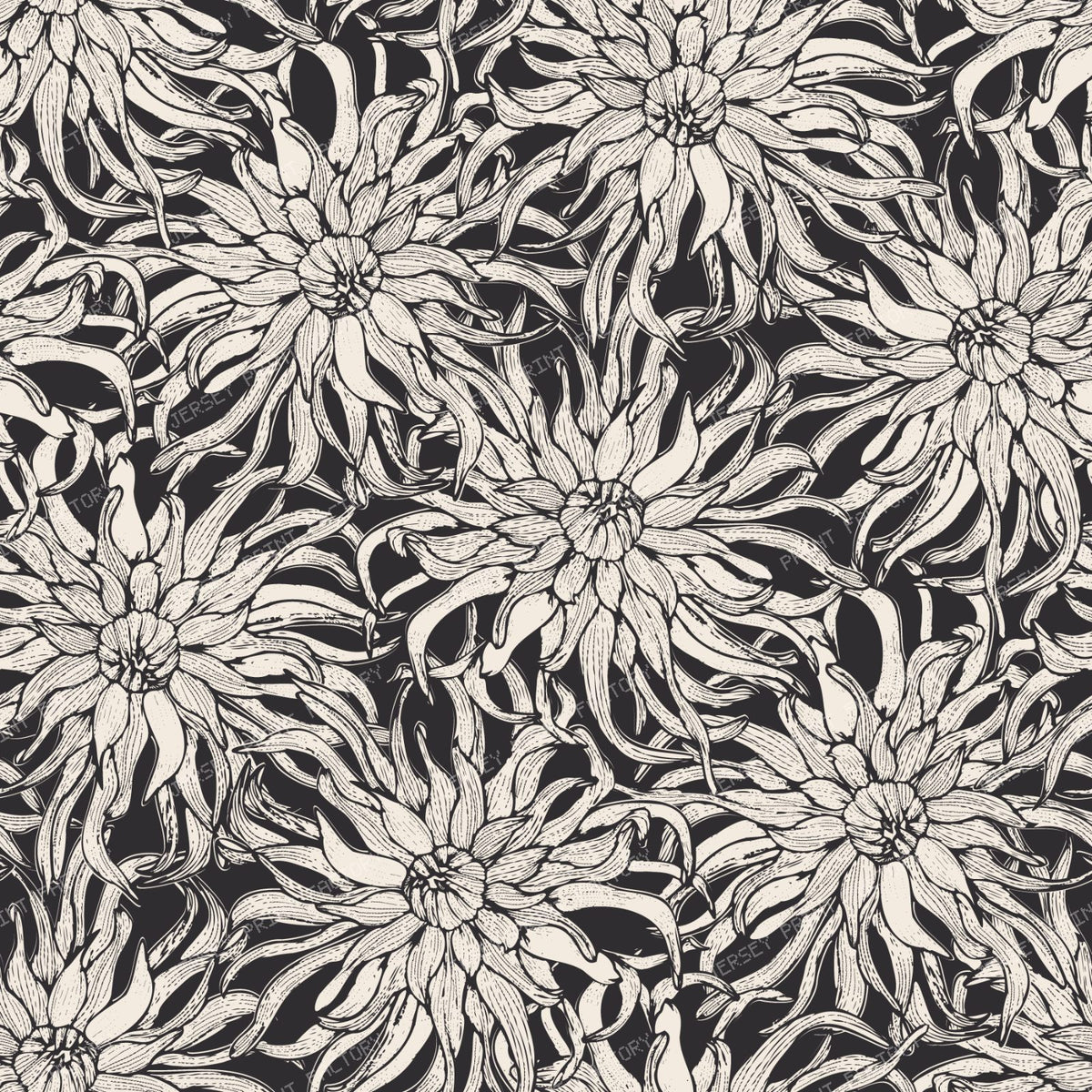 Moody Cactus Dahlia Line Art Vintage Botanical Floral — Black