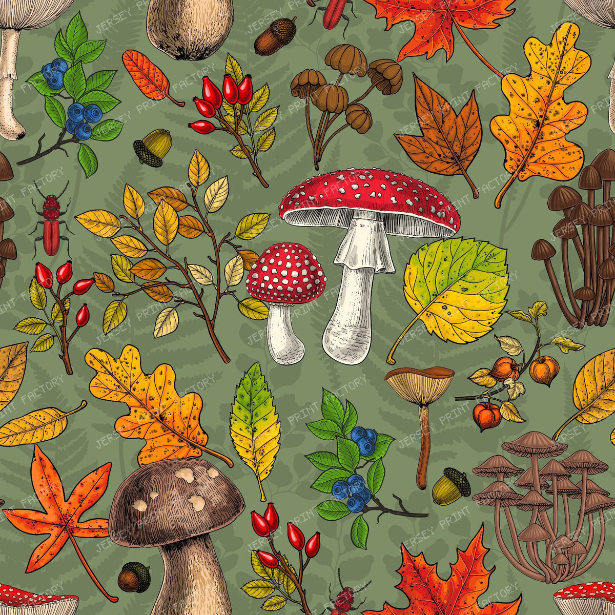 Autumn mushrooms, leaves, nuts and berries on dark brown — on sage
