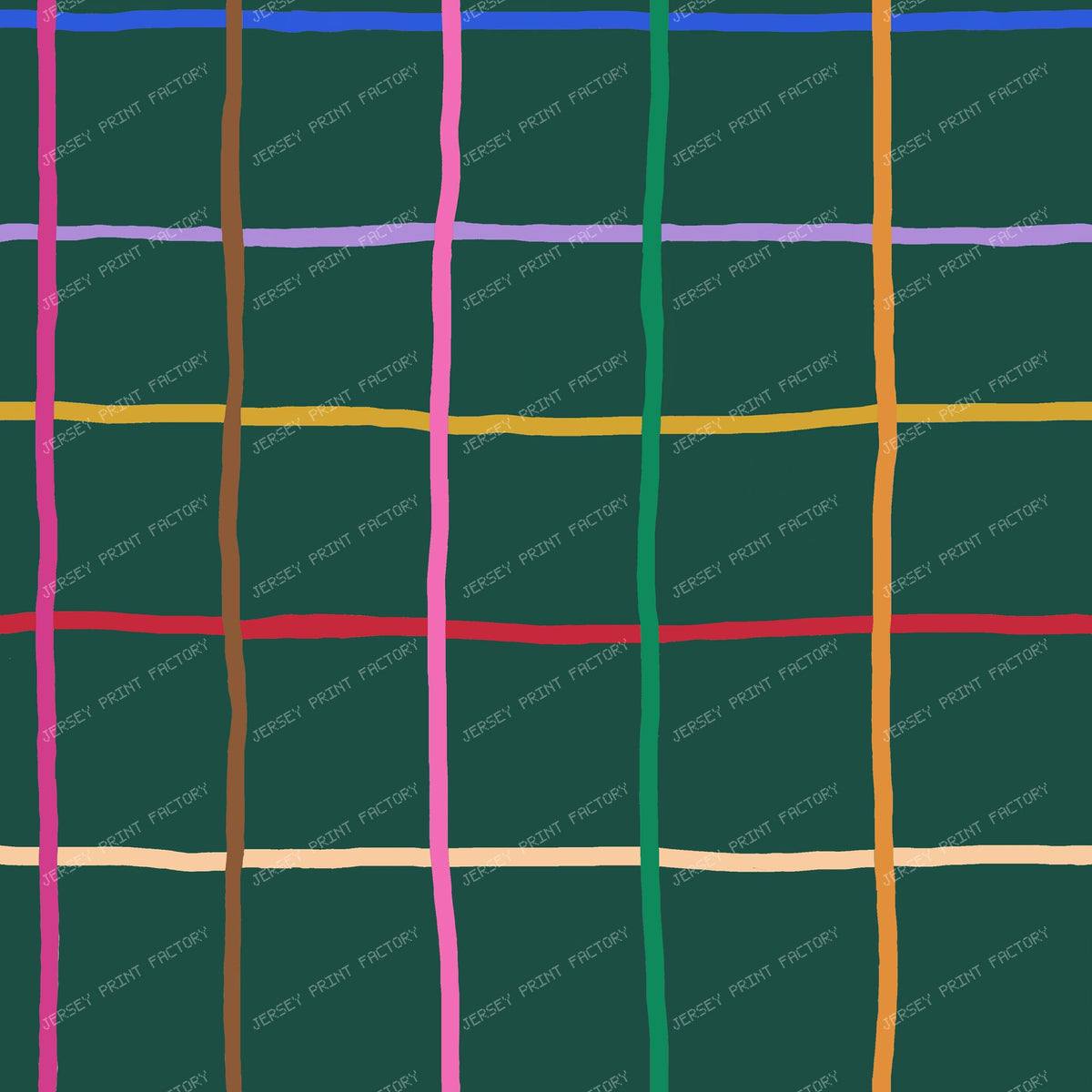 Colorful Hand Drawn Windowpane on Evergreen