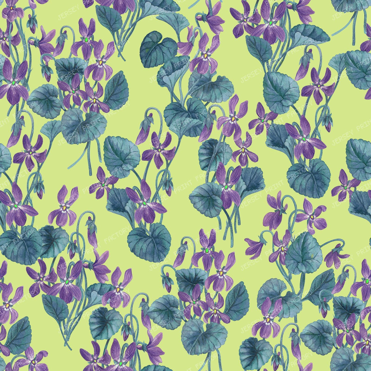 Watercolor violets on bright blue — on honey dew