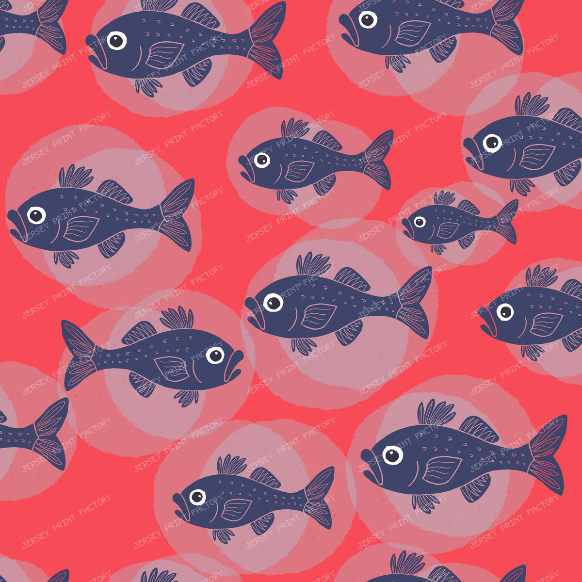 Cheeky Fish - Swim Your Own Way