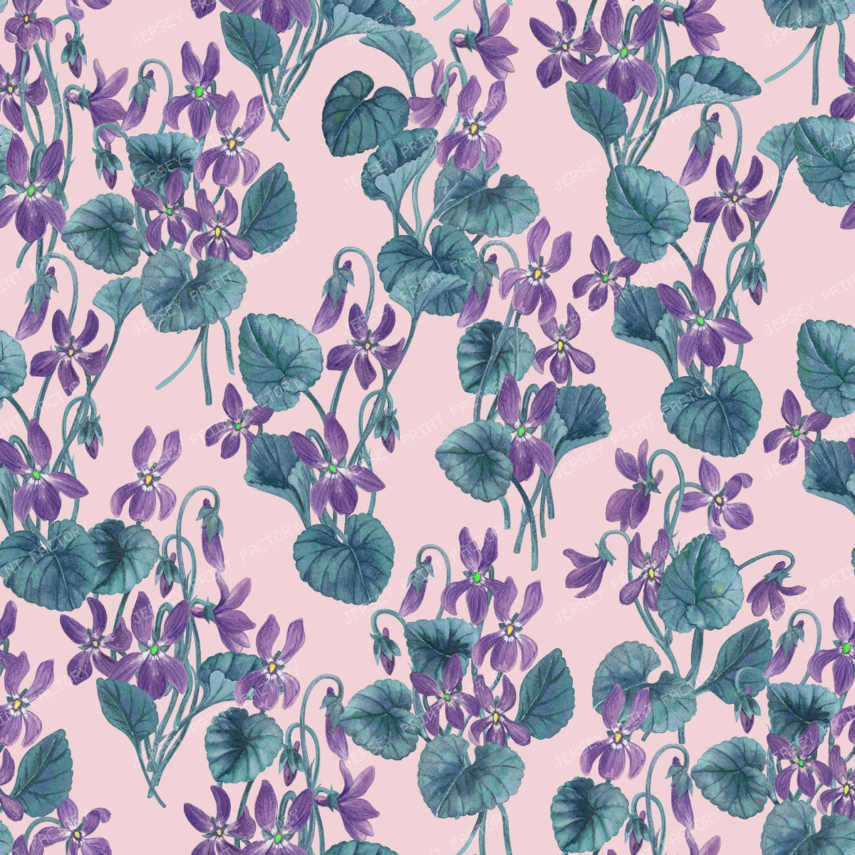 Watercolor violets on bright blue — on pink