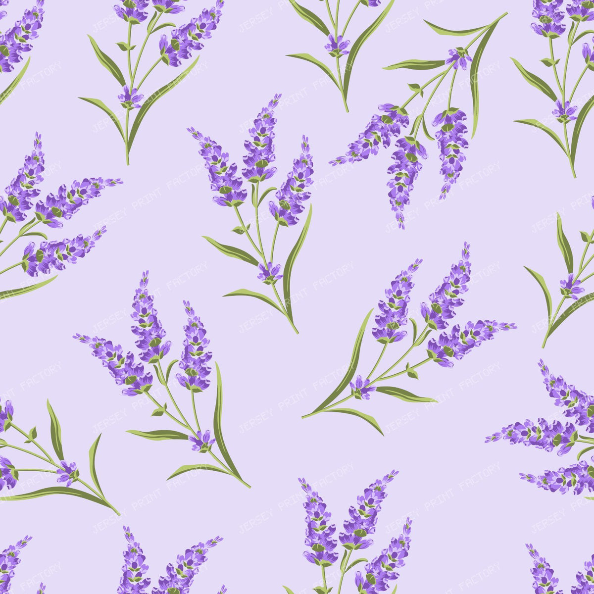Purple Flowers, Lavender, Pattern Of Flowers, Greenery — Purple