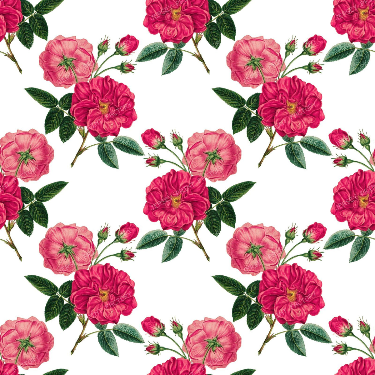 Pink Roses, Pink Flowers, Floral Pattern, Rosebud, Leaves