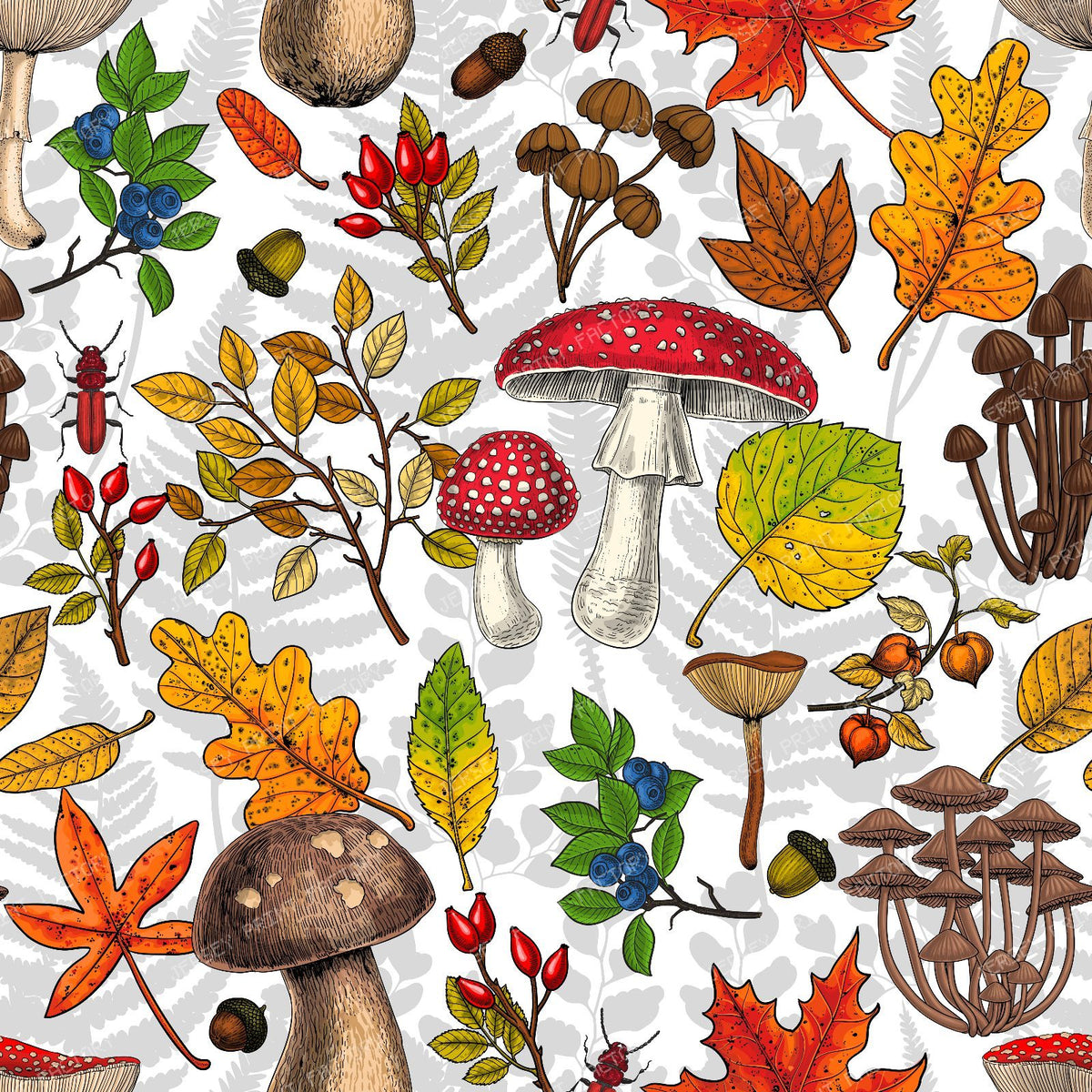 Autumn mushrooms, leaves, nuts and berries on dark brown — on white