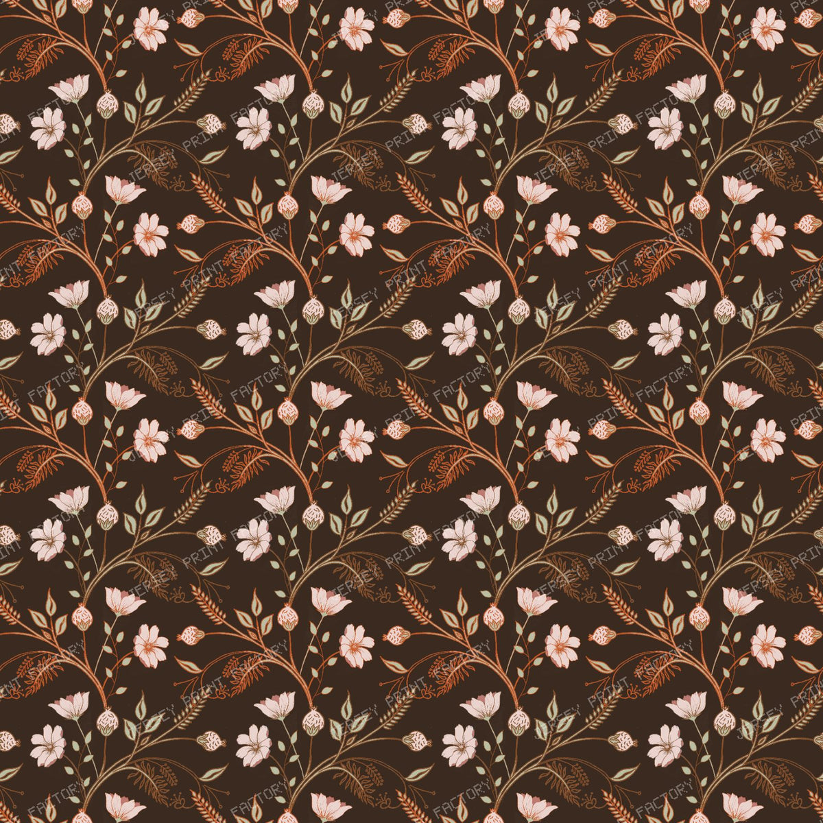 Cosmos Chintz - Chocolate Brown