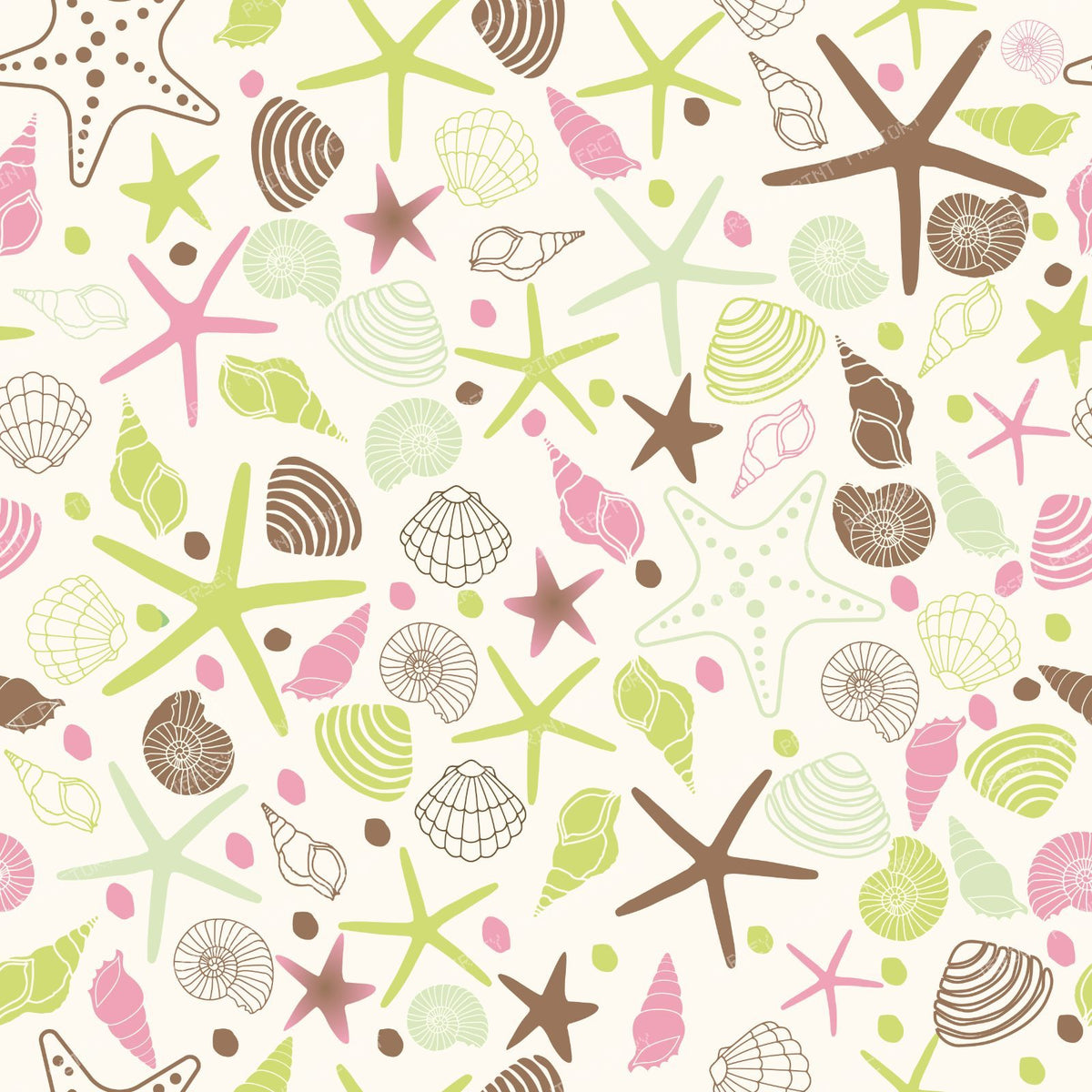 Colorful Seashells, Scallops, Conch Shells, Clam Shells, Starfish — Colorful 3