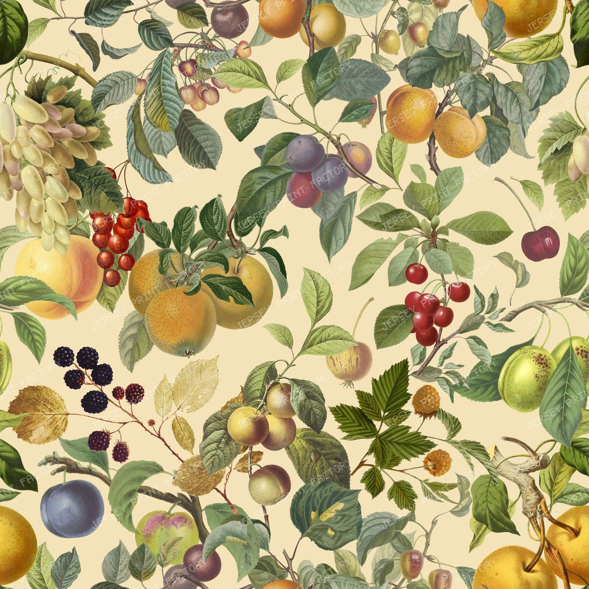 Fruit Abundant Orchard Colorful Botanical Pattern - Cream
