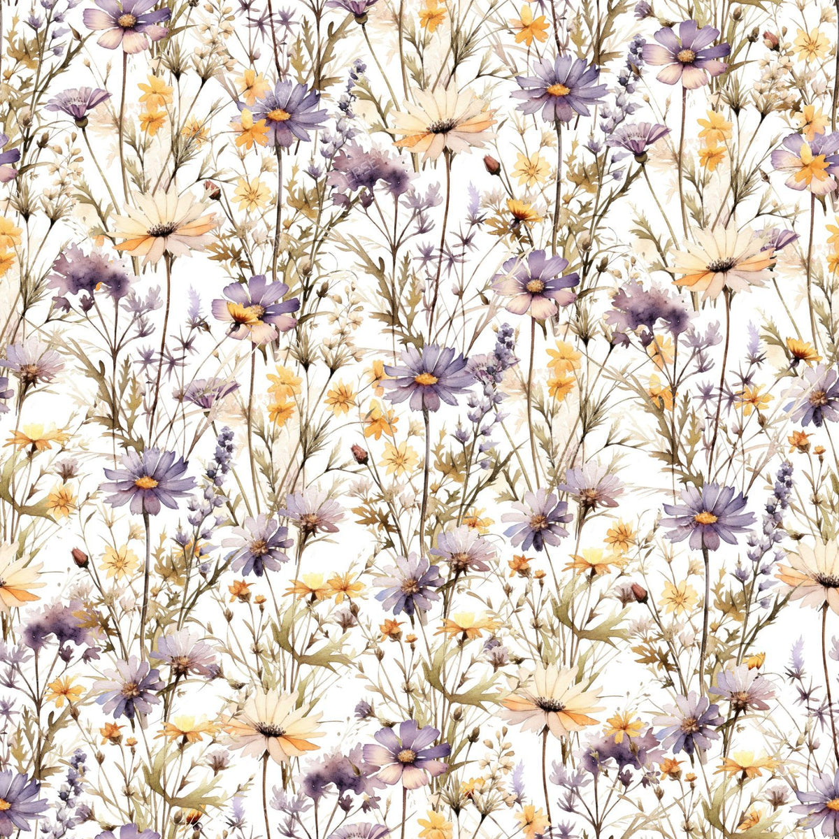 Purple Flowers, Yellow Flowers, Wildflowers