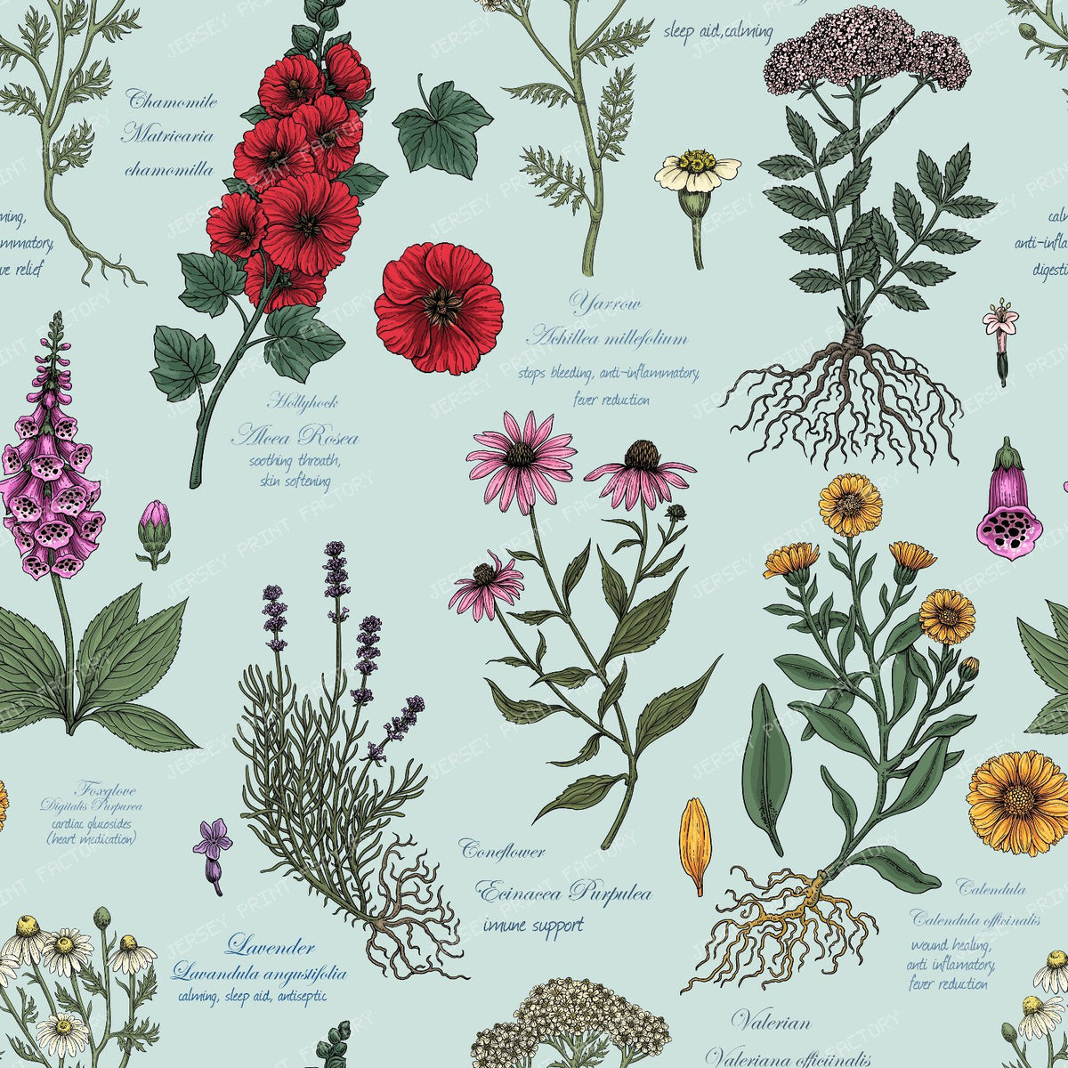 Medicinal Garden Herbarium — sea glass blue