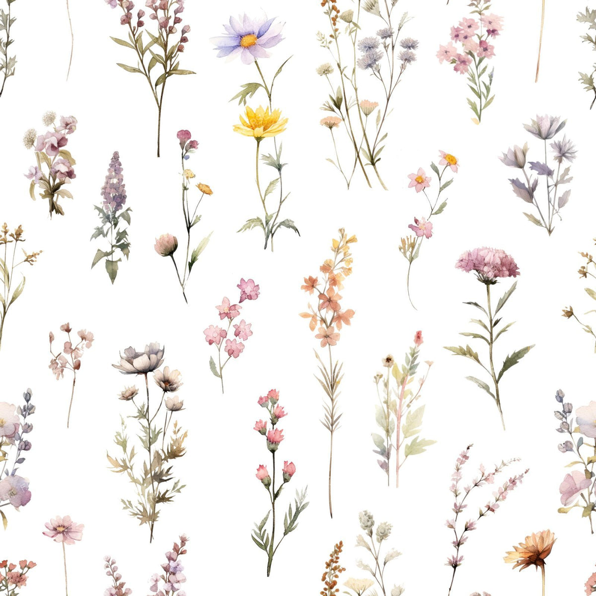 Colorful Flowers, Wildflowers, Garden Flowers