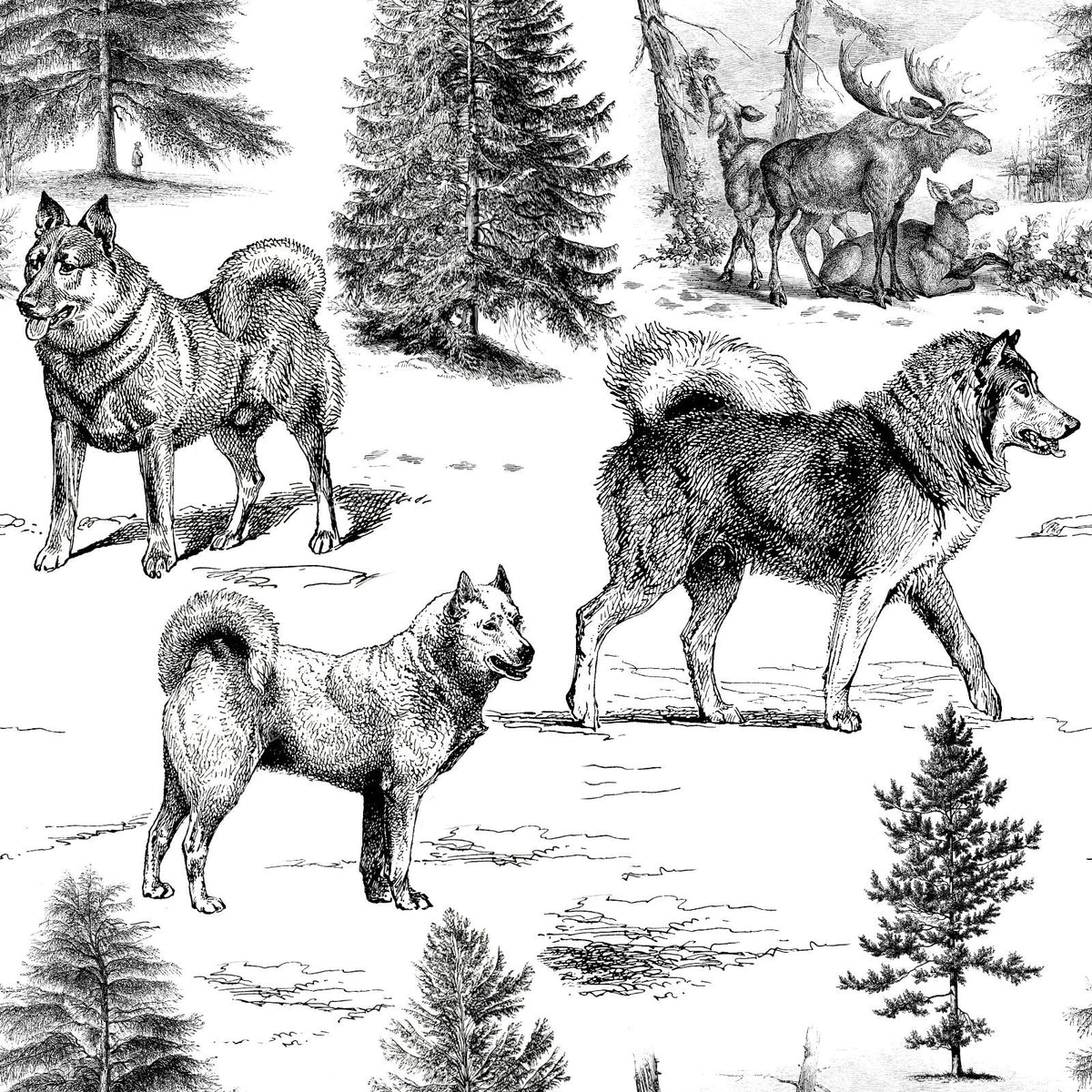 Alaskan Malamute and Northern Dogs in the Winter Landscape Earth Tones Monochromatic Toile Pattern — Black and White