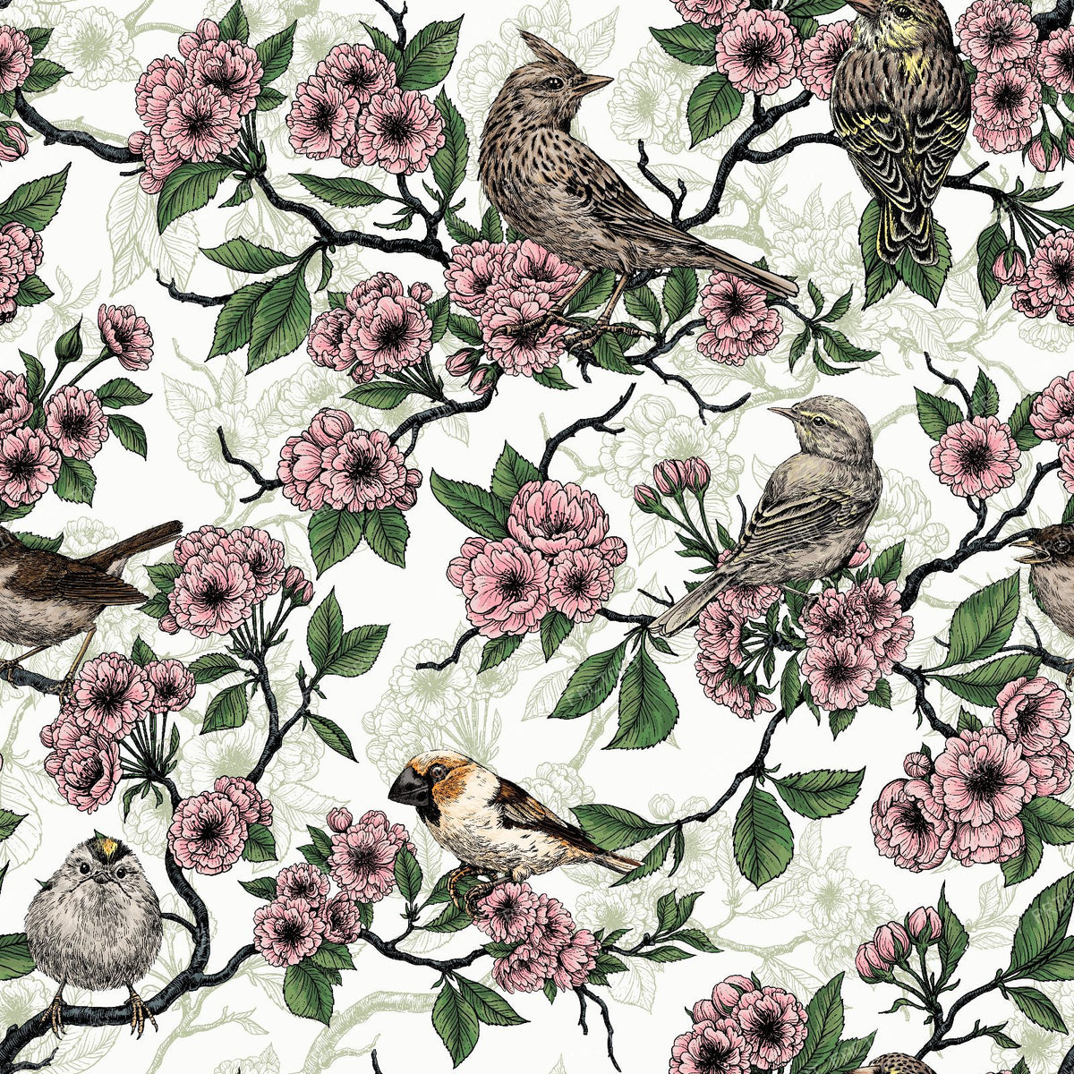 Birds and cherry blossom on white — on white