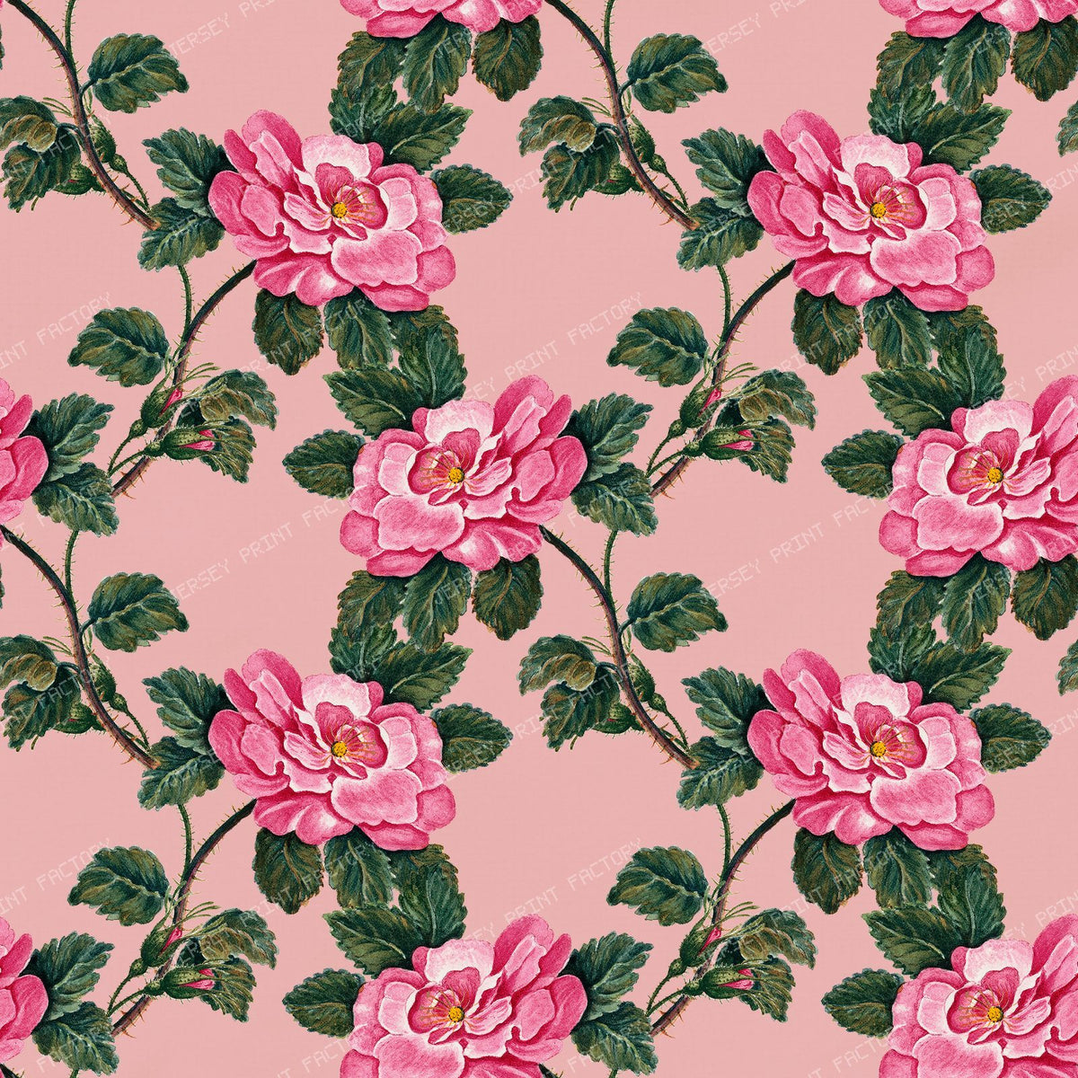 Pink Roses, Wild Roses, Pink Flowers, Floral Pattern, Boho — Pink 3
