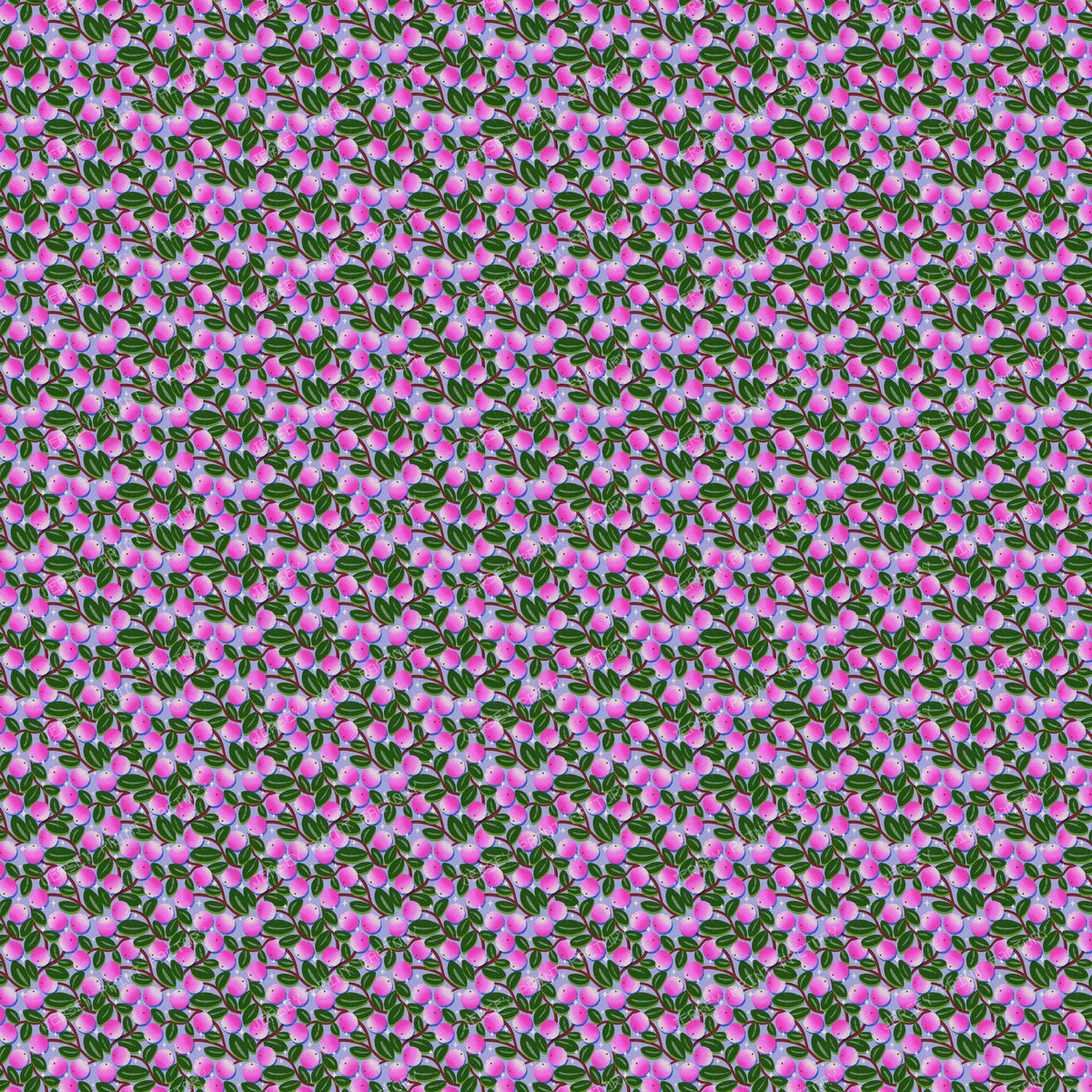 Winter Snowberries and Sparkle on Lavender