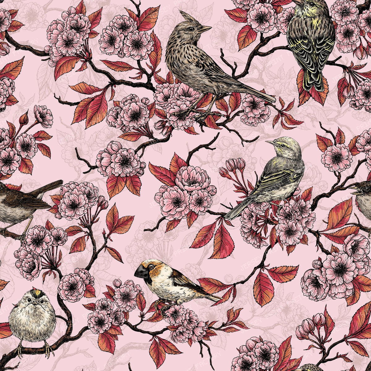 Birds and cherry blossom on white — on pink