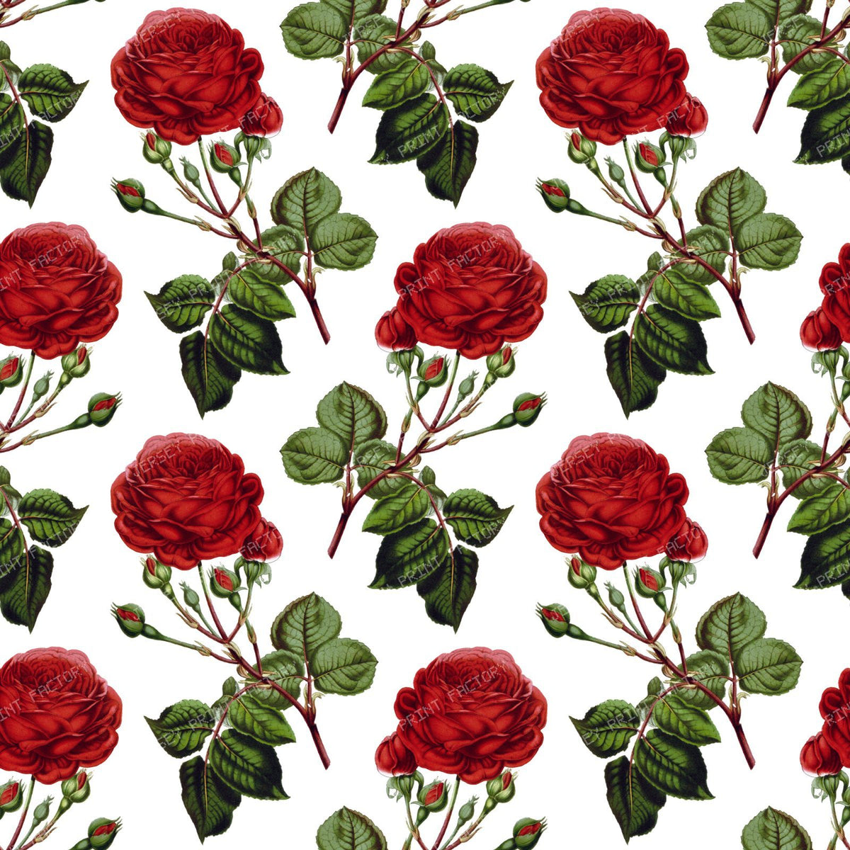 Red Roses, Red Flowers, Floral Pattern, Rosebud, Leaves