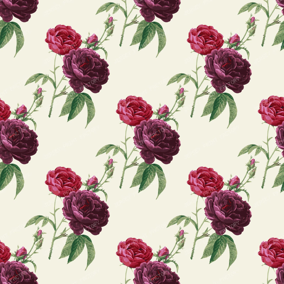 Pink Roses, Purple Roses, Floral Pattern, Rosebud, Leaves — Beige