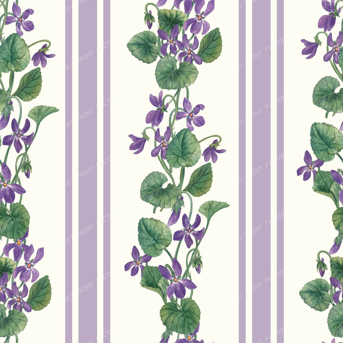 Stripes and violets in green and violet — violet