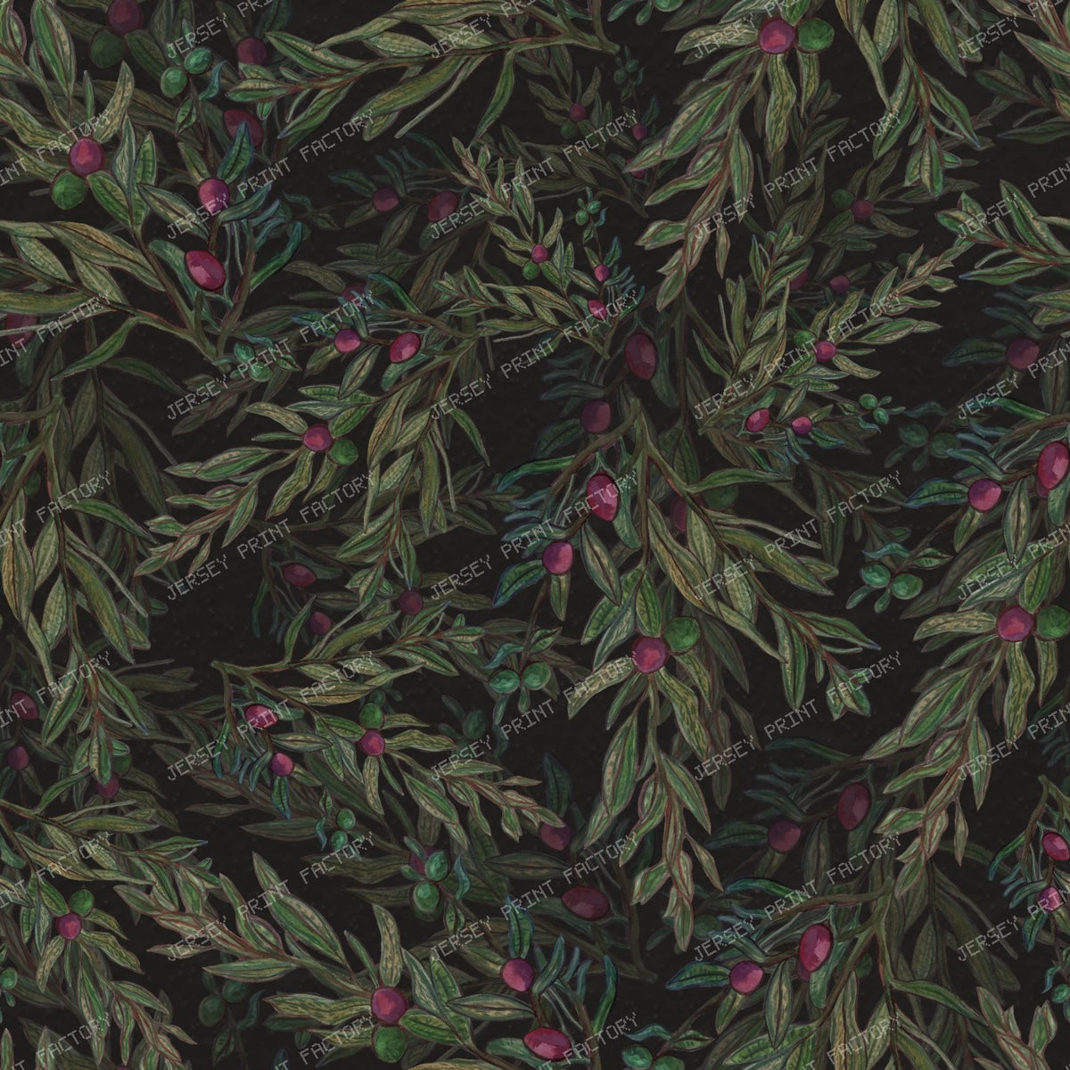 Olive Branch
