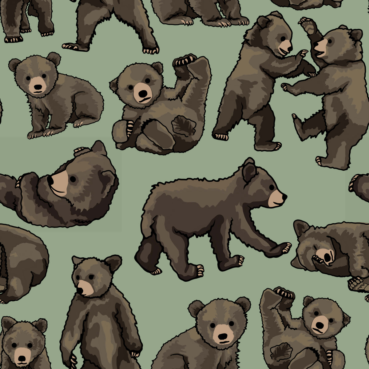 Baby Bears