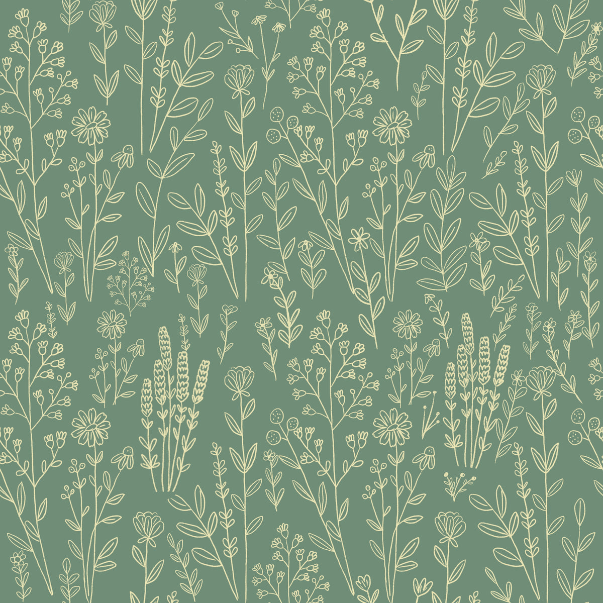 Wildflower Meadow