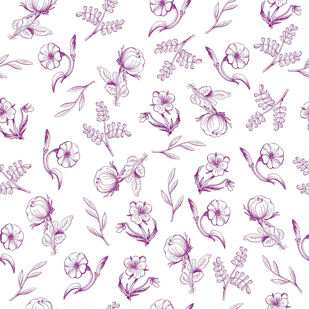 Trumpet Flowers, Blue Flowers, Wildflowers, Leaves — Purple