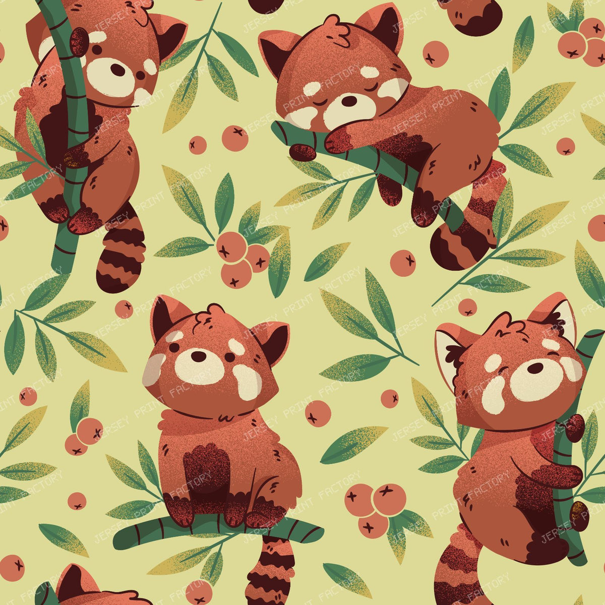 Red Panda | Bamboo and Animals